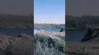 Вырва. Запорожье. 15.04.20