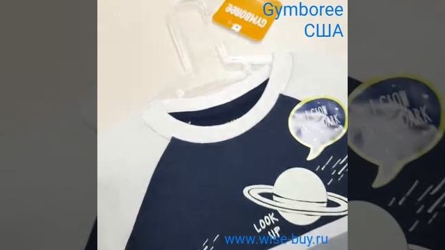 Лонгслив Gymboree 