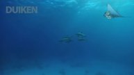 Marsa Alam: Dolphin house, slaapkamer in zee.