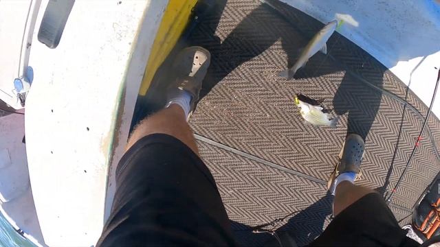 Carolina Skiff J16 Mercury 25hp - How to troll a Jet Diver