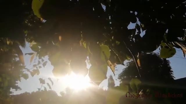 Осеннее Равноденствие. 23 сентября 2019 г.