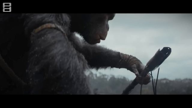 Review phim KINGDOM OF THE PLANET OF THE APES (Hành tinh khỉ: Vương quốc mới)