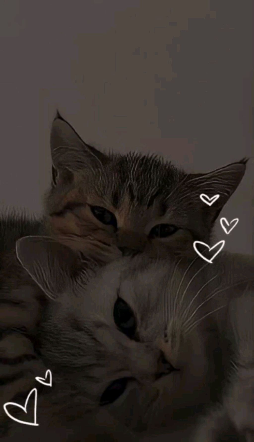 2 часть я болею 🤧