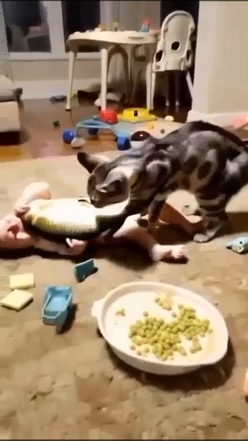 отдай мою рыбку