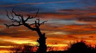The Great Conjunction 2020 - Jupiter and Saturn align to form a rare ‘Christmas Star’