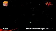 РС825: Обыкновенное чудо