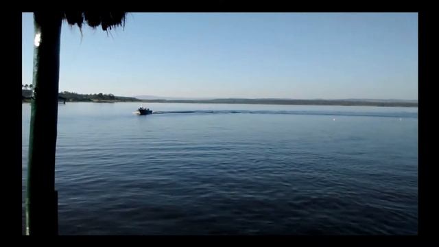 Levefort Marfim 5.5 CLX + Mercury 50 2T