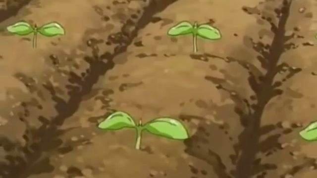 AMV - Fushigi boshi futago hime - Fly on the wings of the love