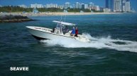 Running to the Fishes / HAULOVER BOATS