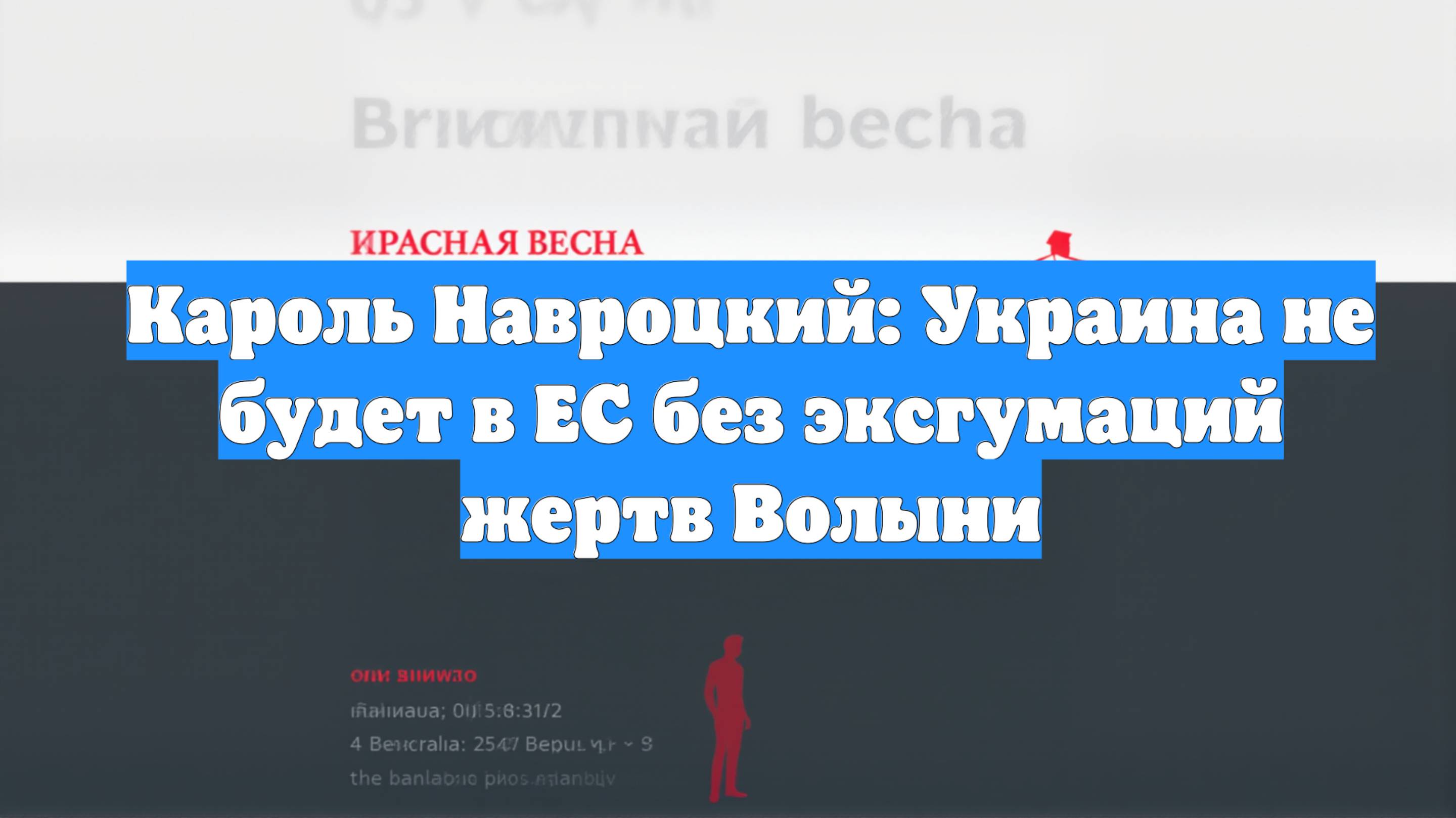 Кароль Навроцкий: Украина не будет в ЕС без эксгумаций жертв Волыни