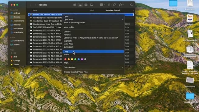 How to Copy File Path In MacOS / MacBook Pro or MacBook Air