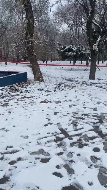В парке "Гулливер" в Донецке пилят деревья