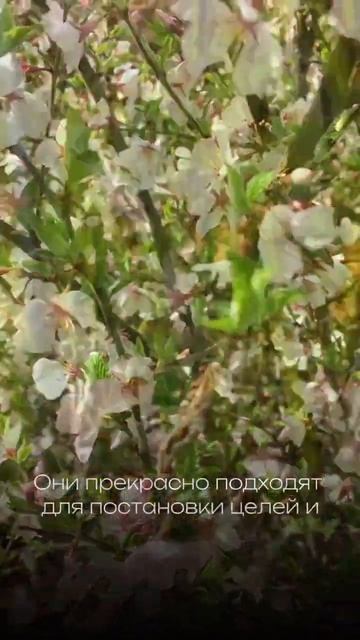 🗓️ 20 марта — день весеннего равноденствия #весна #пробуждение #рост