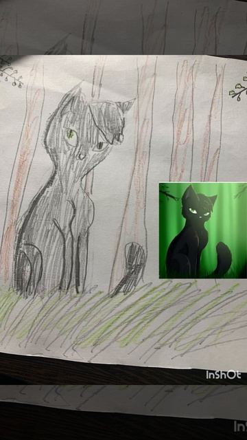 Остролистая коты воители сравнение рисунка с оригиналом