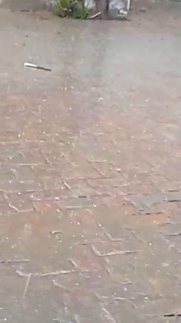 Rain in winter  miserable atmosphere. #love #beautiful #art #happy #photography #instagood