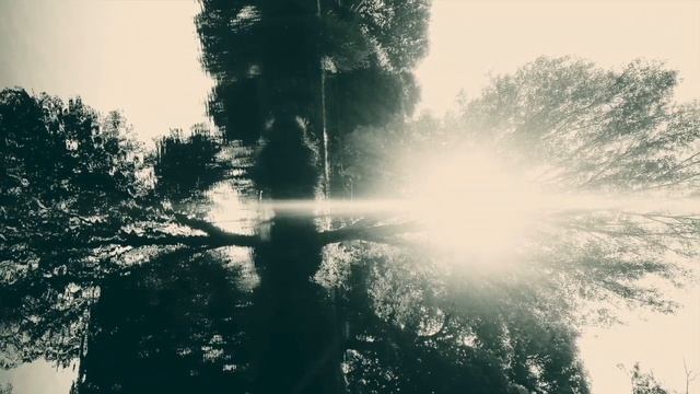 Mercury Circle - Black Flags (Official Fan Video)