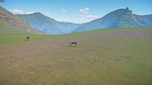 A Head to Head Speed Race between Cheetah and Zebra in Planet Zoo