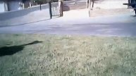 Neptune rc drone with camera