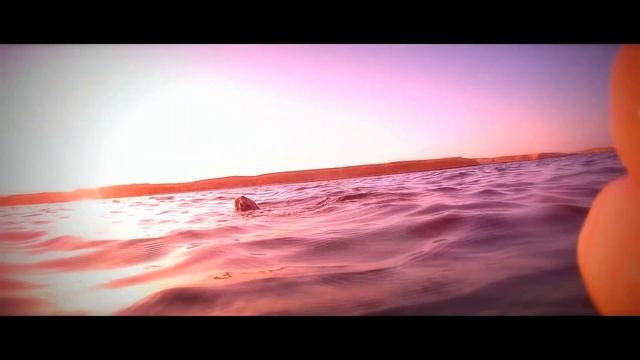 Oriental Bay 7/2014 - Under water Part 2 - Marsa Alam - Egypt