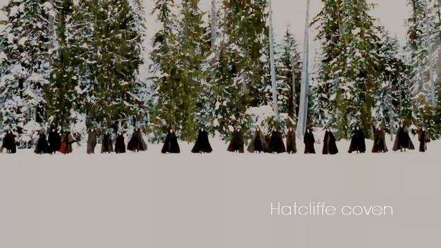 family | twilight saga