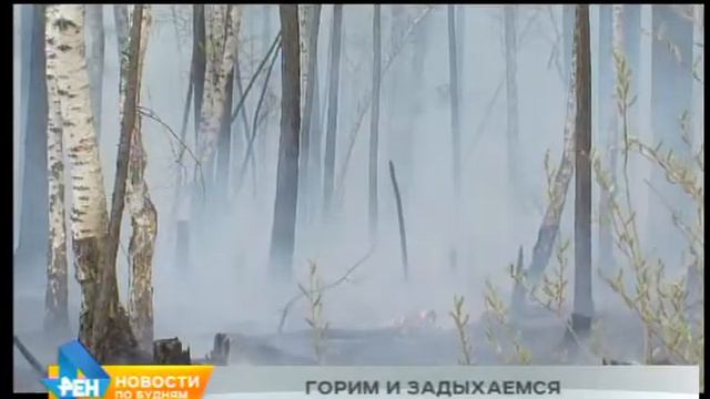 Число лесных пожаров растёт в Иркутской области