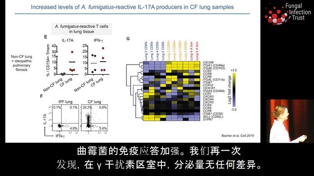 Petra Bacher - IL-17 Immunity And Aspergillosis
