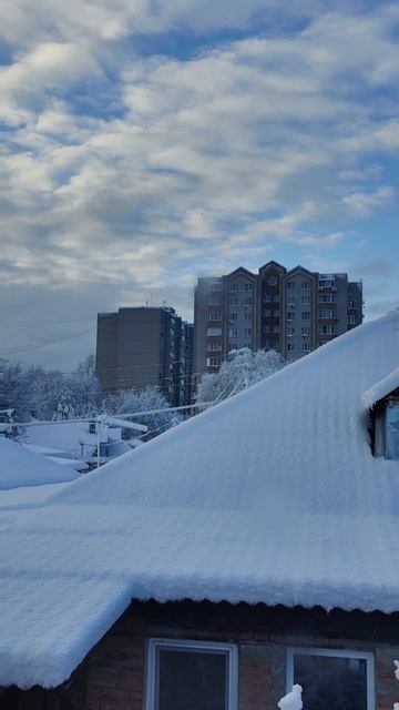 Утро 04.02.2025. Снегу навалило! Первый раз за эту зиму увидели снег.