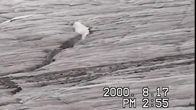 Gulkana Glacier, Alaska, 2000