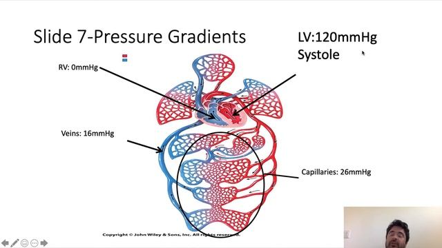 Excitation Contraction