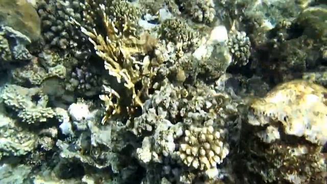 Marsa Alam