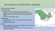 Conservation with Native Plants