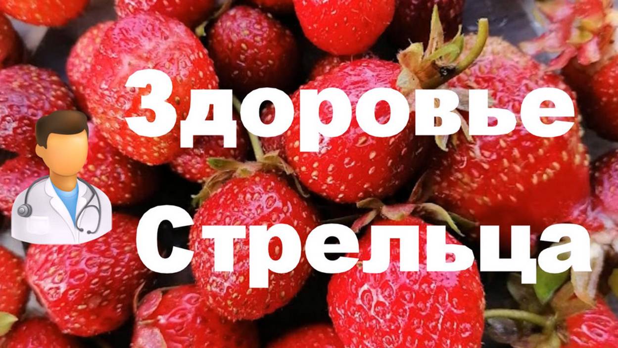 Здоровье Стрельца