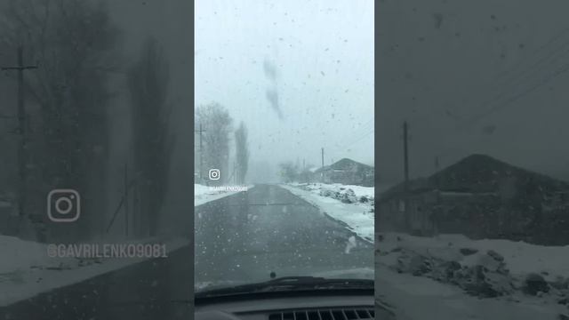 Вот и дождались снежок. 4 февраля 2025 год.