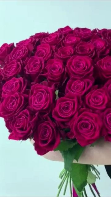 Роза Россия Shangri-La 35 шт