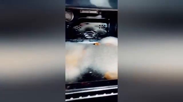 ПРИКОЛЫ ДЛЯ ВЗРОСЛЫХ 2025 🤣🤣👍ПРИКОЛЫ ЗА ЯНВАРЬ