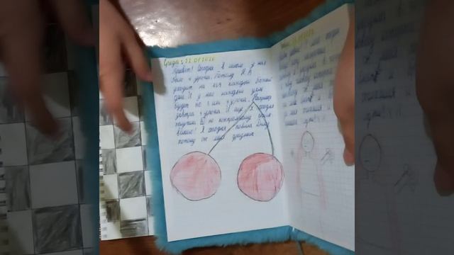 Обзор на личный дневник и на часто используюемую тетрадку