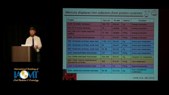 Inorganic and Organic Hg Damage Proteins | Stephen LaVoie, PhD (proxy) for Anne Summers, PhD