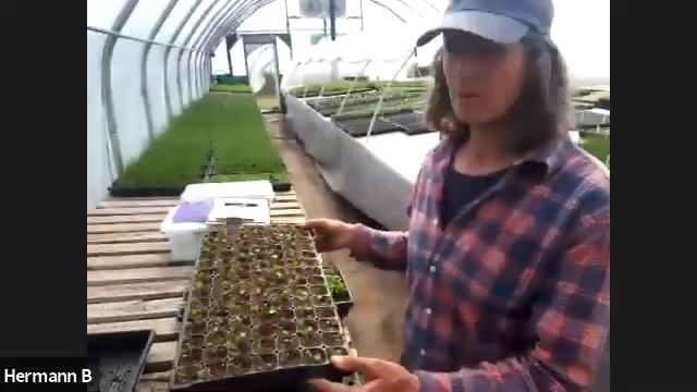 Seed Starting with Wild Flight Farm - Virtual Field Tour - 2021