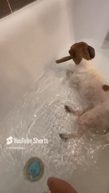 Водные процедуры🌊