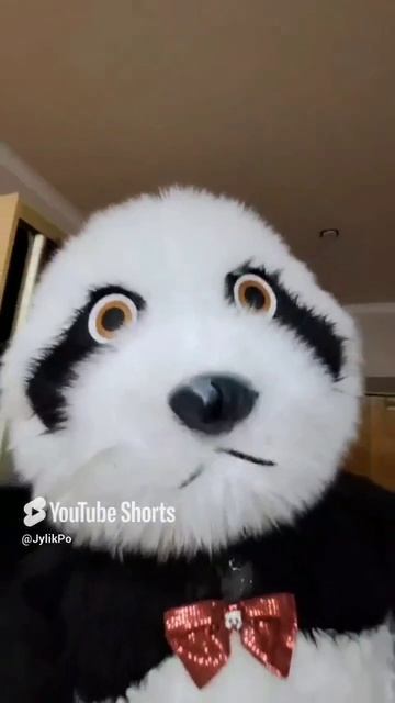 Хулиган🐼