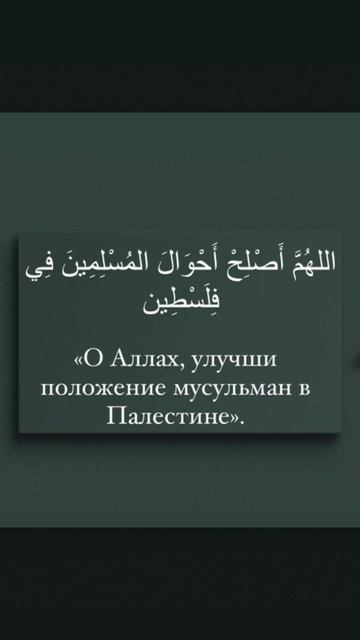 «О Аллах, улучши положение мусульман в Палестине».