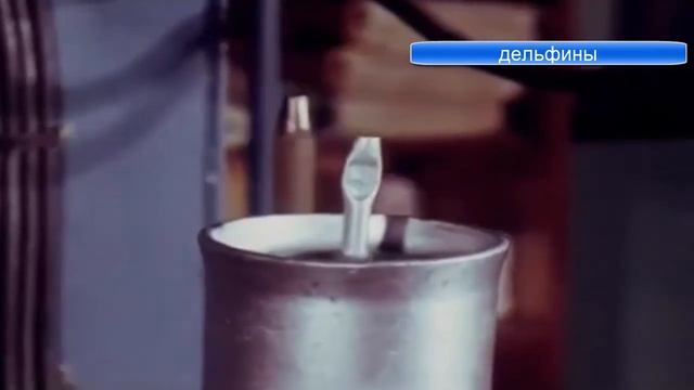Это интересно Сатурн,порошковая металлургия,дельфины