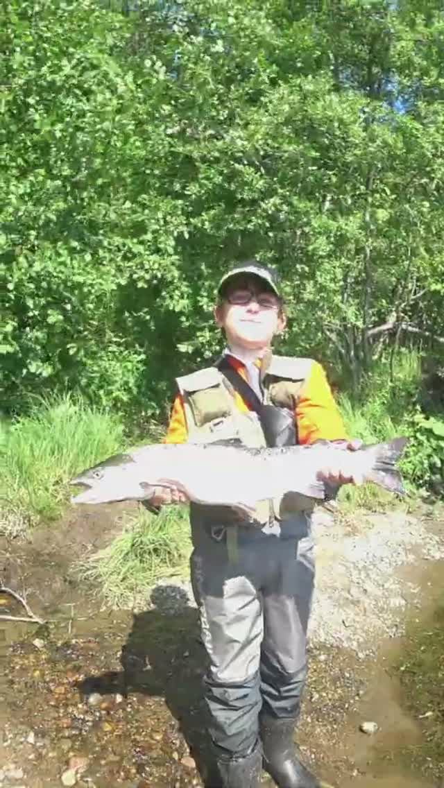 Печенга 2023. Баня. Сёмга на спиннинг!!! #shorts  #fishing  #salmon  #семга