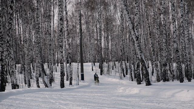 Профайл для Ивана на гонку «Созвездие гончих псов» 2024