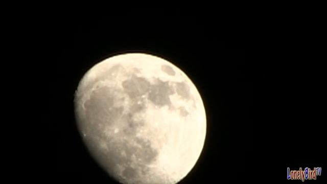 The Moon On May 21 2013