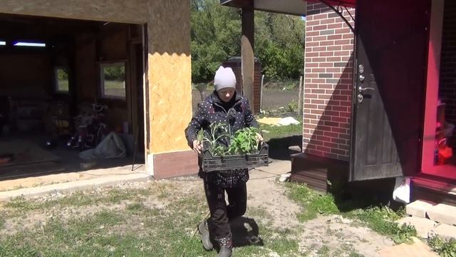 ЖИЗНЬ В КУРСКОЙ ДЕРЕВНЕ КАЖДЫЙ ДЕНЬ ЧТО ТО НОВОЕ