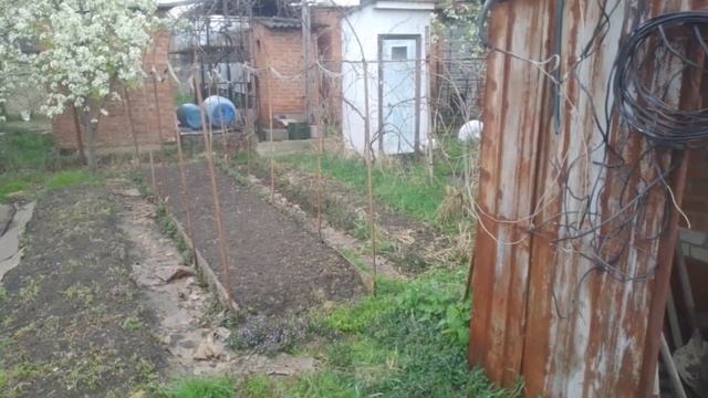 Немцы нам покажут! Как надо землю Матушку любить