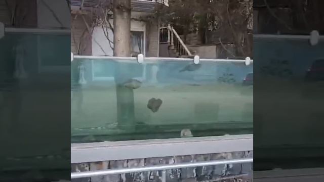 Оригинальный забор