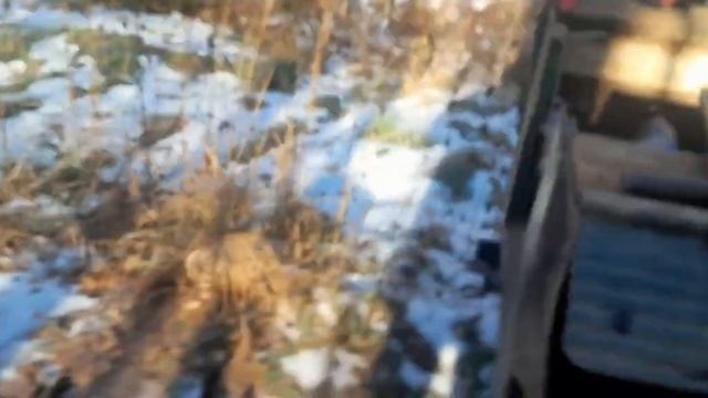 Осенний металокоп