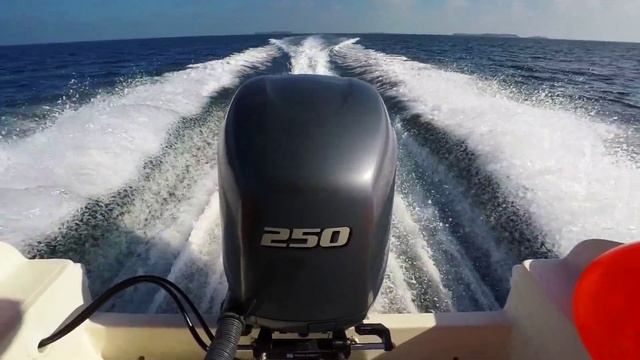 Outboard 250HP wake